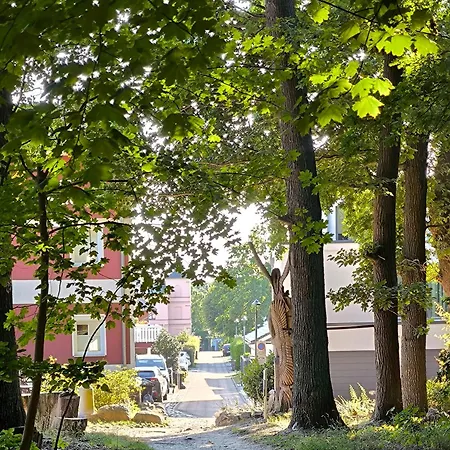 Haus Albatros 5 * Koserow